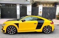 Audi TT 2009 - Cần bán xe Audi TT sản xuất 2009, màu vàng, xe nhập giá 800 triệu tại Tp.HCM
