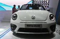 Volkswagen Beetle Dune  2018 - Bán Beetle Dune Beetle Dune, xe Đức nhập khẩu nguyên chiếc giá 1 tỷ 469 tr tại Khánh Hòa