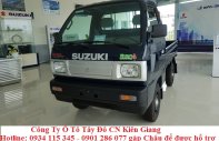 Suzuki Carry 2019 - Giải pháp vận tải tối ưu Suzuki Truck 600kg/615kg/705kg, bán xe trả góp giá 249 triệu tại Kiên Giang