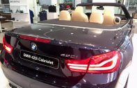 BMW 4 Series 420i Convertible 2018 - Cần bán BMW 4 Series 420i Convertible sản xuất năm 2018, màu xanh lam, xe nhập giá 2 tỷ 799 tr tại Tp.HCM