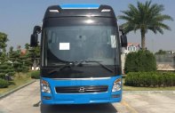 Hyundai Universe Premium 410PS 2019 - Bán Hyundai Universe Premium 410PS sản xuất 2019, màu xanh lam giá 3 tỷ 690 tr tại Đà Nẵng