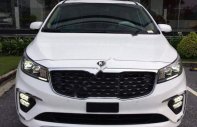 Kia Sedona Platinum D 2019 - Cần bán Kia Sedona Platinum D đời 2019, màu trắng giá 1 tỷ 209 tr tại Tiền Giang