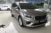 Kia Sedona Platinum D 2018 - Bán xe Kia Sedona Platinum D sản xuất 2018 giá 1 tỷ 209 tr tại Tiền Giang