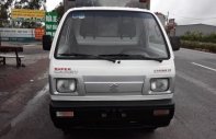 Suzuki Carry 2008 - Bán xe tải 5 tạ Suzuki Carry 2008 đăng ký lần đầu 2011 giá 115 triệu tại Thái Bình