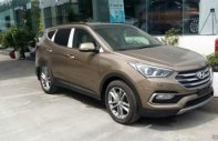 Hyundai Santa Fe 2016 - Bán ô tô Hyundai Santa Fe sản xuất 2016, màu nâu giá 901 triệu tại Quảng Bình