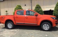 Chevrolet Colorado MT 2019 - Trả trước 116tr nhận ngay Colorado 2018, 0988.729.750 giá 619 triệu tại Phú Thọ