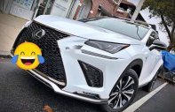 Lexus NX  300H   2018 - Bán Lexus NX 300H năm sản xuất 2018, màu trắng, nhập khẩu giá 2 tỷ 450 tr tại Bình Dương