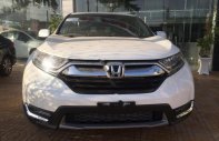 Honda CR V L 2019 - Bán xe Honda CR V L 2019, màu trắng, nhập khẩu, 7 chỗ ngồi giá 1 tỷ 93 tr tại Đồng Tháp