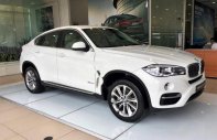 BMW X6 xDrive35i 2018 - BMW Phú Mỹ Hưng bán BMW X6 xDrive35i sản xuất 2018, xe mới 100% giá 3 tỷ 969 tr tại Tp.HCM