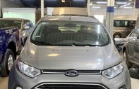 Ford EcoSport AT 2015 - Bán Ford EcoSport sản xuất năm 2015, màu bạc, xe chính chủ giá 477 triệu tại Tp.HCM