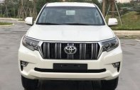 Toyota Land Cruiser Prado VX 2019 - Bán Toyota Land Cruiser Prado mới 100%, NK Nhật Bản, giá tốt, LH 0942.456.838 giá 2 tỷ 320 tr tại Hòa Bình