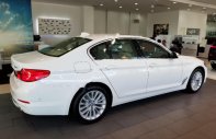 BMW 5 Series 530i Luxury Line 2018 - Bán BMW 5 Series 530i Luxury Line 2018, màu trắng, nhập khẩu, mới 100% giá 3 tỷ 69 tr tại Bình Dương