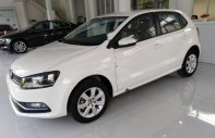 Volkswagen Polo 2018 - Cần bán Volkswagen Polo 2018, màu trắng, nhập khẩu,   mới 100% giá 695 triệu tại Yên Bái