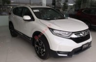 Honda CR V 1.5 (Turbo) L 2018 - Bán Honda CR-V 1.5 (Turbo) L, màu trắng, xe nhập khẩu, đầy đủ màu giá 1 tỷ 73 tr tại Thái Nguyên