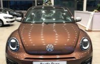 Volkswagen Beetle Dune 2018 - Bán xe Volkswagen Beetle Dune đời 2018, màu nâu, nhập khẩu nguyên chiếc giá 1 tỷ 499 tr tại Yên Bái