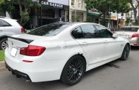 BMW 5 Series 528i 2010 - Bán BMW 5 Series 528i đời 2010, màu trắng, nhập khẩu nguyên chiếc, 980tr giá 980 triệu tại Tp.HCM