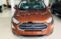 Ford EcoSport 2019 - Cần bán xe Ford EcoSport đời 2019, giá chỉ 521 triệu giá 521 triệu tại Cà Mau