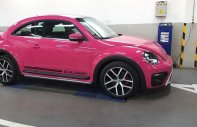 Volkswagen Beetle 2019 - Bán Volkswagen Beetle đời 2019, màu hồng, nhập khẩu giá 1 tỷ 469 tr tại Tp.HCM