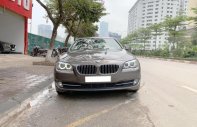 BMW 5 Series 520i 2013 - Bán BMW 5 Series 520i năm 2013, màu nâu, nhập khẩu nguyên chiếc giá 1 tỷ 180 tr tại Hà Nội