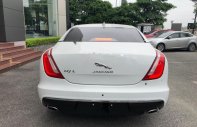 Jaguar XJ series L Portfolio 2019 - Bán ô tô Jaguar XJ series L Portfolio đời 2019, màu trắng, xe nhập giá 6 tỷ 539 tr tại Hà Nội