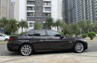 BMW 5 Series 520i 2016 - Cần bán gấp BMW 5 Series 520i sản xuất năm 2016, màu nâu giá 1 tỷ 680 tr tại Tp.HCM