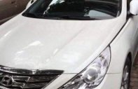 Hyundai Sonata 2010 - Bán xe Hyundai Sonata 2010, màu trắng, xe nhập số tự động, giá 500tr giá 500 triệu tại Điện Biên