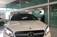 Mercedes-Benz GLA-Class GLA 45 AMG 2015 - Cần bán Mercedes GLA 45 AMG 2016, màu trắng, nhập khẩu nguyên chiếc giá 1 tỷ 415 tr tại Hà Nội