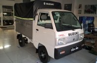 Suzuki Carry 2019 - Bán ô tô Suzuki Carry 2018 năm 2019, thùng kèo mui bạt giá 273 triệu tại Tp.HCM