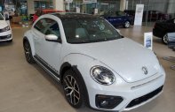 Volkswagen Beetle Dune 2018 - Bán Volkswagen Beetle Dune 2.0 TSI bản Final 2019 - Thiết kế thiên hướng thể thao, lai Crossover cá tính giá 1 tỷ 499 tr tại Tp.HCM