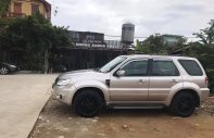 Ford Escape XLS 2009 - Cần bán nhanh Ford Escape XLS 2.3 sx 2009, số tự động giá 350 triệu tại Bắc Kạn