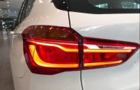 BMW X1 2019 - Bán BMW X1 sản xuất 2019, màu trắng, nhập khẩu giá 1 tỷ 804 tr tại Tp.HCM