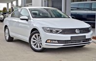 Volkswagen Passat E 2019 - Cần bán xe Volkswagen Passat E đời 2019, màu trắng, nhập khẩu giá 1 tỷ 480 tr tại Tp.HCM