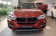 BMW X6   2019 - Cần bán BMW X6 đời 2019, màu đỏ, nhập khẩu giá 3 tỷ 865 tr tại Kiên Giang