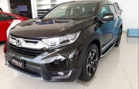 Honda CR V 1.5 E 2019 - Bán Honda CR V đời 2019, xe nhập, đủ màu - giao ngay giá 983 triệu tại Cần Thơ