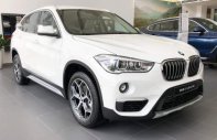 BMW X1   2019 - Bán BMW X1 đời 2019, màu trắng, nhập khẩu   giá 1 tỷ 759 tr tại Tp.HCM