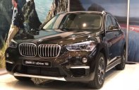 BMW X1 2019 - Bán BMW X1 đời 2019, xe nhập giá 1 tỷ 880 tr tại Tp.HCM