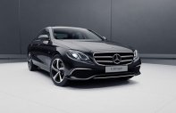 Mercedes-Benz E class E200 Sport 2020 - Giá xe Mercedes E200 Sport, phiên bản Limited 2020, tặng trước bạ, phụ kiện cao cấp giá 2 tỷ 317 tr tại Tp.HCM