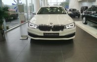 BMW 5 Series 520i 2018 - Bán xe BMW 520i năm 2018, màu trắng, xe nhập giá 2 tỷ 389 tr tại Hà Nội