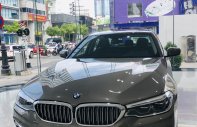 BMW 5 Series 2019 - BMW 5 Series 530i - Luxury, nhập khẩu nguyên chiếc từ Đức, xe chuẩn từ Châu Âu - giảm giá mạnh giá 3 tỷ 69 tr tại Tp.HCM