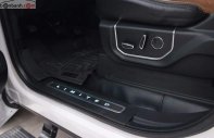 Ford F 150 2017 - Bán Ford F 150 sản xuất 2017, màu trắng, xe nhập giá 3 tỷ 250 tr tại Tp.HCM
