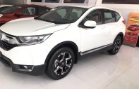 Honda CR V 2019 - Honda ô tô Đồng Nai bán Honda CRV 2019 bản 1.5E, giảm tiền mặt, tặng phụ kiện, trả 300tr nhận xe ngay gọi 0908.438.214 giá 963 triệu tại Đồng Nai