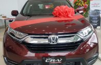 Honda CR V  1.5L 2019 - Cần bán Honda CR V đời 2019, màu đỏ, xe nhập giá 983 triệu tại BR-Vũng Tàu