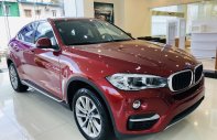 BMW X6 2019 - Bán BMW X6 35i Coupe, màu đỏ, xe nhập khẩu Đức, hầm hố, thể thao giá 3 tỷ 969 tr tại Tp.HCM