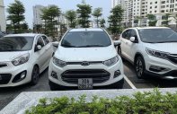 Ford EcoSport  Titanium  2014 - Bán xe Ford EcoSport sản xuất 2014, màu trắng, nhập khẩu   giá 435 triệu tại Hà Nội