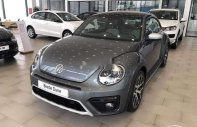 Volkswagen Beetle   Dune  2019 - Bán Volkswagen Beetle Dune năm 2019, màu xám, nhập khẩu   giá 1 tỷ 499 tr tại Tp.HCM