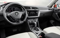 Volkswagen Tiguan Allspace 2018 - Bán Volkswagen Tiguan Allspace sản xuất năm 2018, màu đỏ, nhập khẩu giá 1 tỷ 729 tr tại Khánh Hòa
