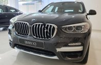 BMW X3   2019 - Bán BMW X3 năm sản xuất 2019, nhập khẩu   giá 2 tỷ 705 tr tại Đà Nẵng
