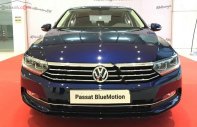 Volkswagen Passat Bluemotion 2019 - Bán Volkswagen Passat Bluemotion SX 2019, màu xanh lam, nhập khẩu nguyên chiếc giá 1 tỷ 480 tr tại Khánh Hòa