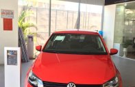 Volkswagen Polo 2018 - Bán xe Volkswagen Polo SX 2018, màu đỏ, nhập khẩu. Ưu đãi khủng giá 695 triệu tại Lâm Đồng