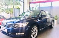 Volkswagen Passat Blue motion 2019 - Volkswagen passat blue motion - xe sang cho doanh nhân giá 1 tỷ 480 tr tại Khánh Hòa